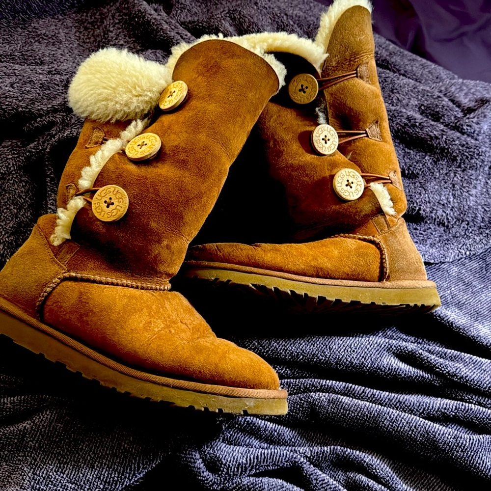 Tall, chestnut button, UGGs